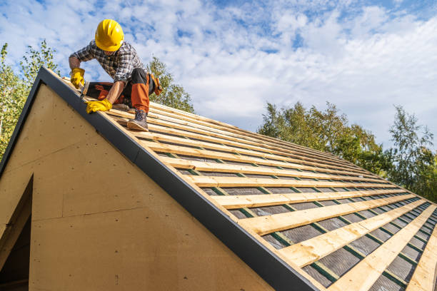 Best Roof Gutter Cleaning  in Waite Park, MN